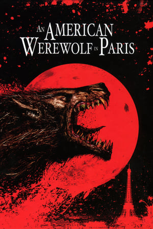 An American Werewolf in Paris 1997 Hindi Dual Audio [860MB] HD Poster Download - Filmyzilla
