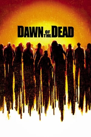 Dawn of the Dead (2004) Hindi Dual Audio Movie - 1GB HD Poster Download - Filmyzilla