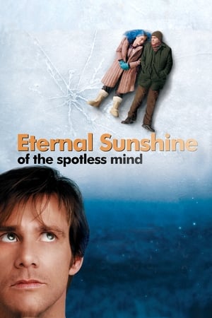 Eternal Sunshine Of The Spotless Mind 2004 Hindi Dual Audio 300MB HD Poster Download - Filmyzilla