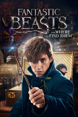 Fantastic Beasts and Where to Find Them 2016 Dual Audio (Hindi) [300MB] HD Poster Download - Filmyzilla