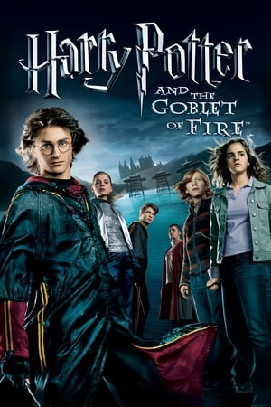 Fire & Ice (2008) Hindi Dual Audio [1.1GB] HD Poster Download - Filmyzilla