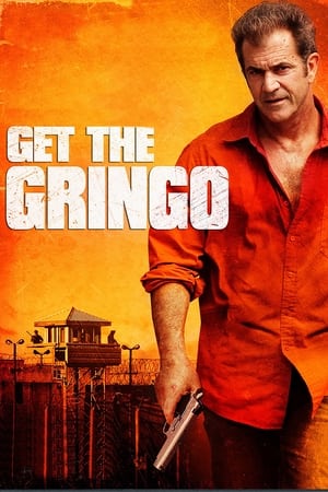 Get the Gringo (2012) Hindi Dual Audio [850MB] HD Poster Download - Filmyzilla