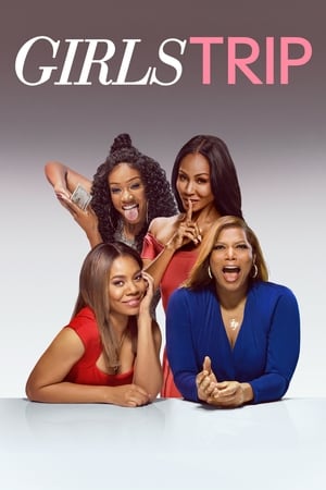 Girls Trip (2017) Hindi Dual Audio [1GB] HD Poster Download - Filmyzilla