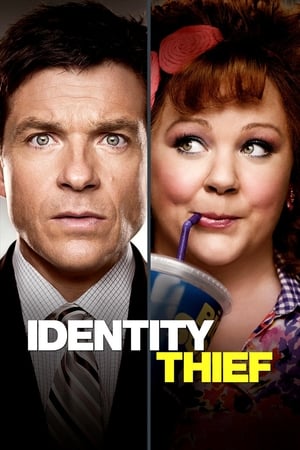 Identity Thief (2013) Hindi Dual Audio 350MB HD Poster Download - Filmyzilla