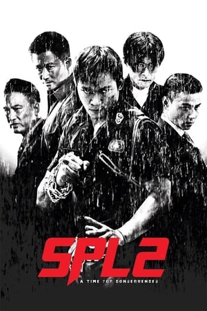 Kill Zone 2 (2015) Hindi Dual Audio 400MB HD Poster Download - Filmyzilla