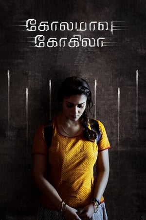 Kolamavu Kokila (2018) Hindi Dual Audio 450MB HD Poster Download - Filmyzilla