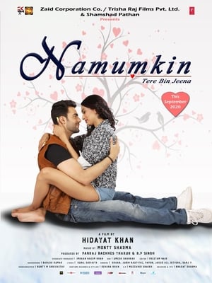 Namumkin Tere Bin Jeena 2020 Movie [740MB] HD Poster Download - Filmyzilla