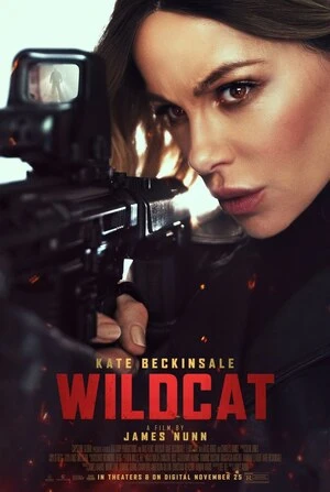 Wildcat 2025 Hindi Dual Audio HD Poster Download - Filmyzilla