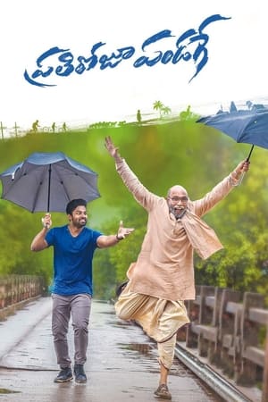 Prati Roju Pandage (Har Din Diwali) (2019) Hindi Dubbed 400MB HD Poster Download - Filmyzilla