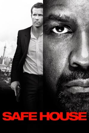 Safe House (2012) Hindi Dual Audio – HD Poster Download - Filmyzilla