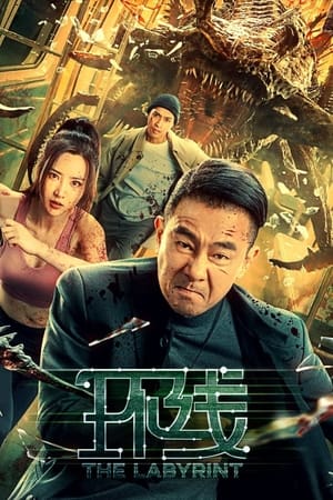 The Labyrinth (2022) Hindi Dual Audio – HD Poster Download - Filmyzilla