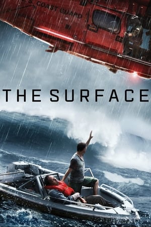 The Surface (2014) Hindi Dual Audio [800MB] HD Poster Download - Filmyzilla