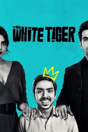 The White Tiger (2021) Hindi Movie [990MB] HD Poster Download - Filmyzilla